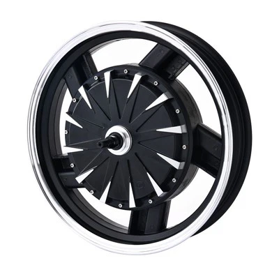 10 Pengeluar Motor Hub ZDL-03 Terbaik di dunia 2025